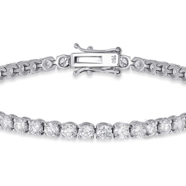 Éclat - 4.50 CT